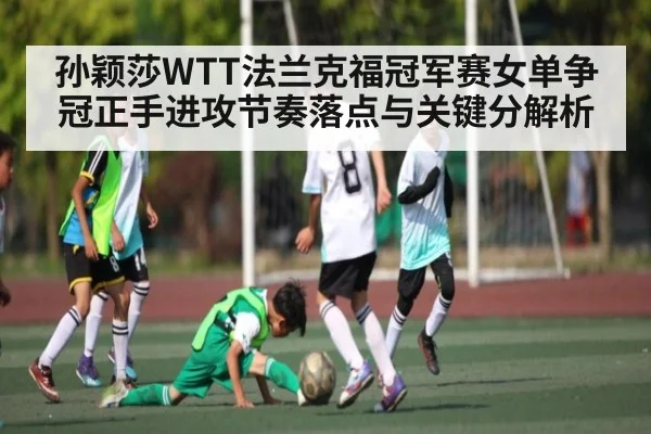 孙颖莎WTT法兰克福冠军赛女单争冠正手进攻节奏落点与关键分解析